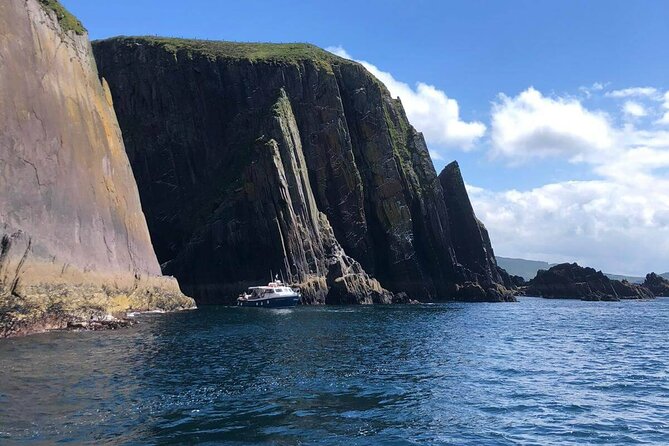 1 hour Dingle Bay Cliff Tour - Why this short boat ride works so well