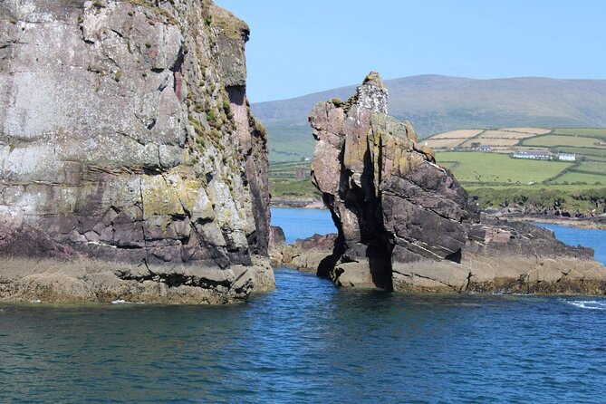 1 hour Dingle Bay Cliff Tour - Leaving Dingle Harbour for the cliffs
