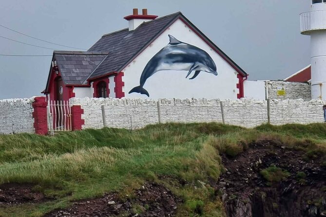 1 hour Dingle Bay Cliff Tour - Is the $26.61 price good value?