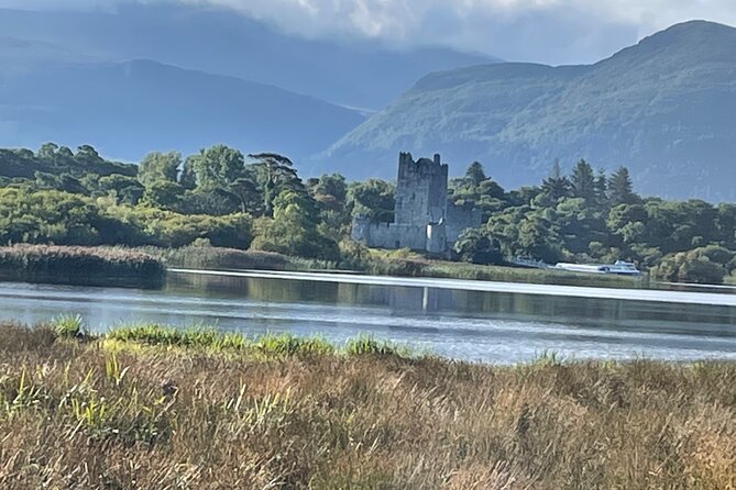 1 Hour Guided Carriage Tour in Killarney National Park - The Lakes of Killarney and the main scenic payoff