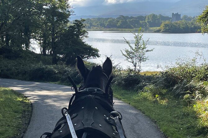 1 Hour Guided Carriage Tour in Killarney National Park - Who will get the most from this one-hour ride