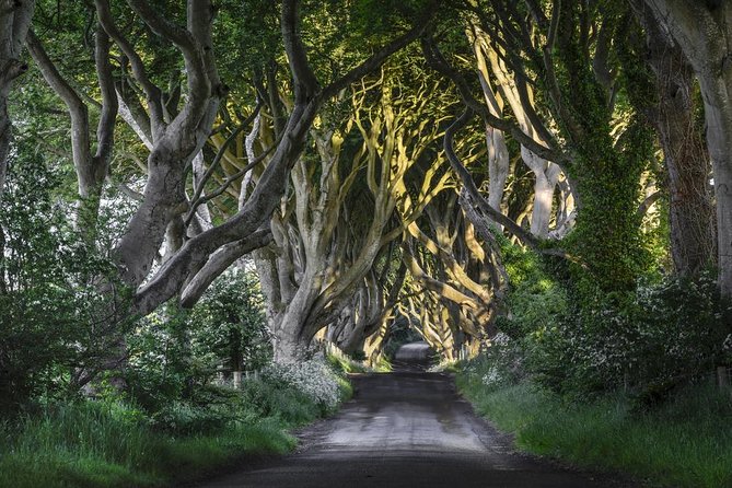2-Day Northern Ireland Tour from Dublin Including Belfast and Giants Causeway - Overnight in Belfast: the biggest variable