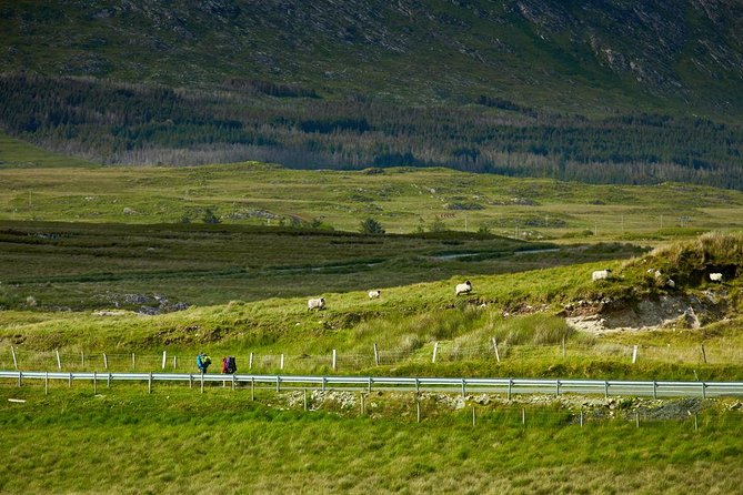 2-Day Western Ireland Tour from Dublin:Including Galway and Cliffs of Moher - Bunratty is usually a photograph, not a castle visit