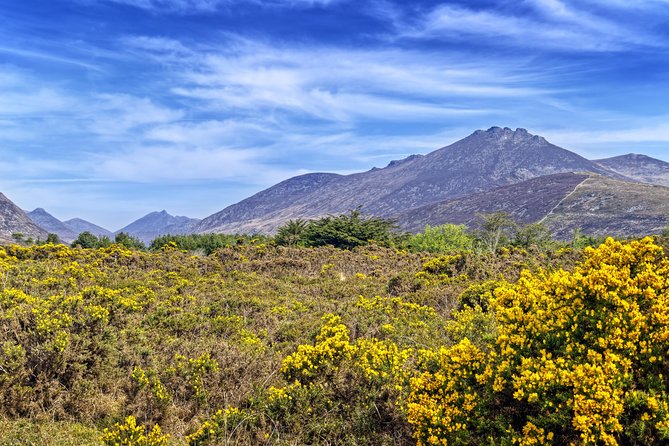 3-Day Discover Northern Ireland Small-Group Tour from Dublin - Transport, luggage, and daily comfort