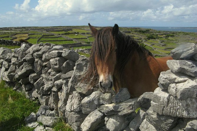 3-Day Southern Ireland Tour Including Galway and Kerry from Dublin - Day three: Killarney, Adare, and the return to Dublin