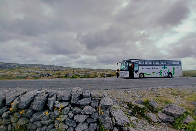 4-Day Guided Tour to Discover Ireland and Dublin - Timing, comfort, and group size