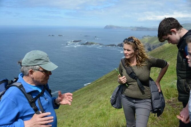 4 Hours Dingle Peninsula Private Tour - Slea Head Drive and the Atlantic edge