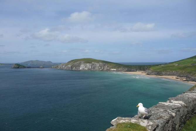 5-Day Northern Ireland and Atlantic Coast Small-Group Tour from Dublin - Day four: Connemara’s open spaces