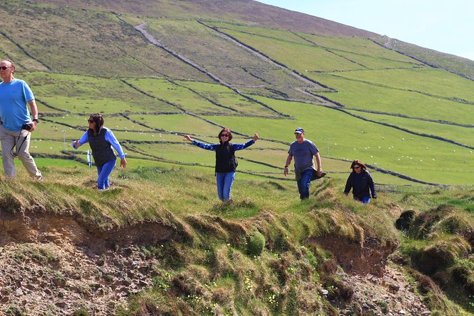 6-Day Magical Southern Explorer Small Group Tour - Day four: Dingle and the Slea Head Drive