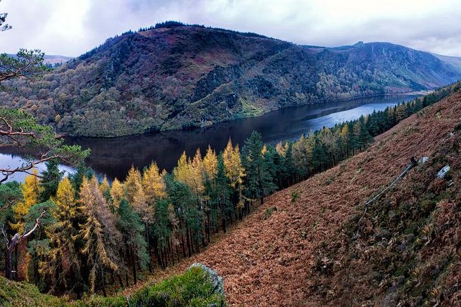 6-Day South of Ireland Tour from Dublin - Day 4: The Ring of Kerry and Killarney National Park