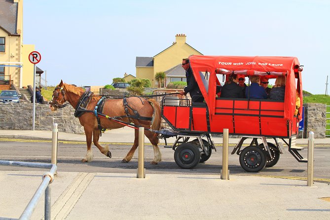 8 Day Emerald Explorer Small Group of tour of Ireland - Day 4: Slea Head and the Dingle Distillery