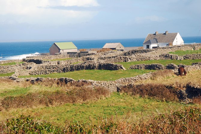 Aran Island, Cliffs of Moher & Cruise tour from Galway. Guided. - How the $147.60 price works