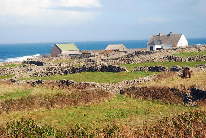 Aran Islands Bike Tour with Tea and Scones from Galway - Key details before you book