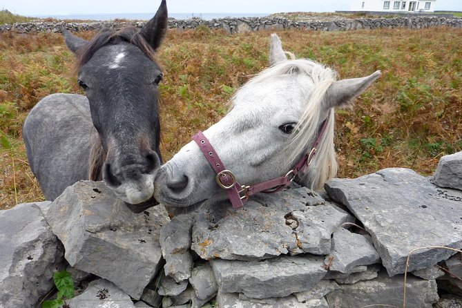 Aran Islands Scenic Flight and Galway Rail Tour from Dublin - Final verdict: book it for the flight and the setting