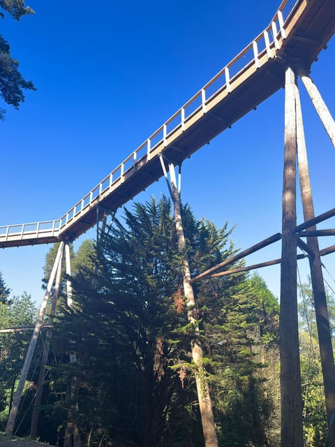 Avondale: Beyond the Trees Treetop Walk & Tower Entry Ticket - Who will enjoy Avondale most?