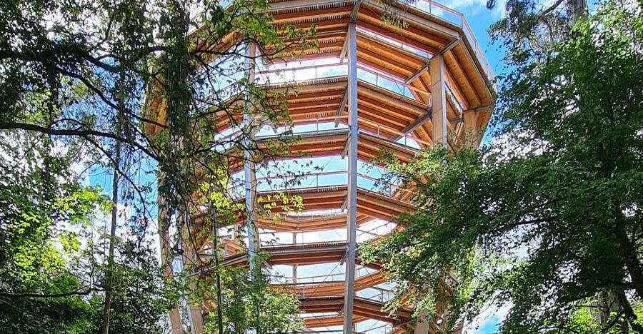 Avondale: Beyond the Trees Treetop Walk & Tower Entry Ticket - Family play areas beside the forest route