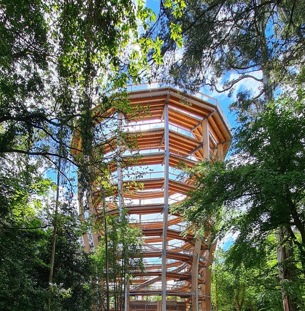Avondale: Beyond the Trees Treetop Walk & Tower Entry Ticket - Passing through the tunnel to the viewing tower