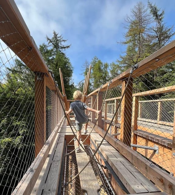 Avondale: Beyond the Trees Treetop Walk & Tower Entry Ticket - The optional 90-meter slide