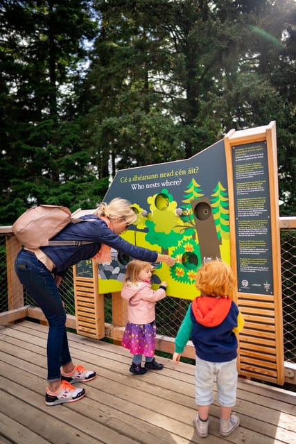 Avondale: Beyond the Trees Treetop Walk & Tower Entry Ticket - Accessibility and practical comfort
