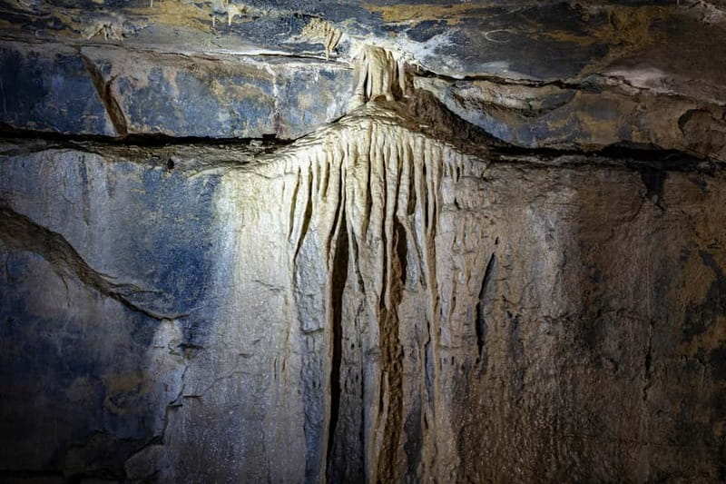 Ballyvaughan: Aillwee Burren Experience Entry Ticket - Why this makes a good County Clare stop