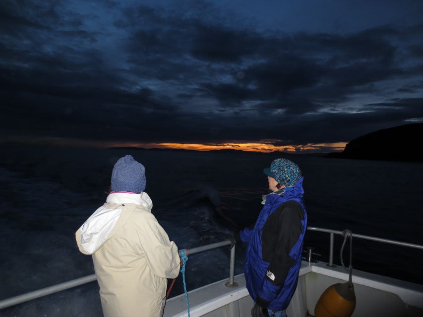 Baltimore Harbor: Sunset Cruise to Fastnet Rock Lighthouse - Sherkin Island and the ruins of Sherkin Abbey