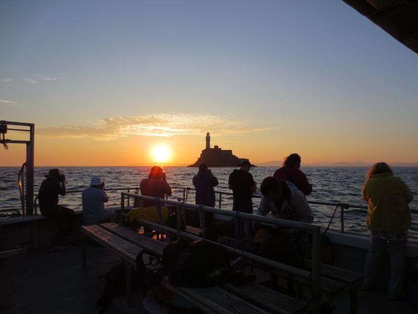 Baltimore Harbor: Sunset Cruise to Fastnet Rock Lighthouse - The return to Baltimore after sunset