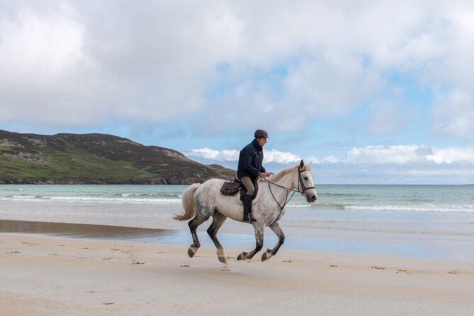 Beach & countryside horse riding outside Westport. Guided. 1 hour - Reaching the open shore of Clew Bay