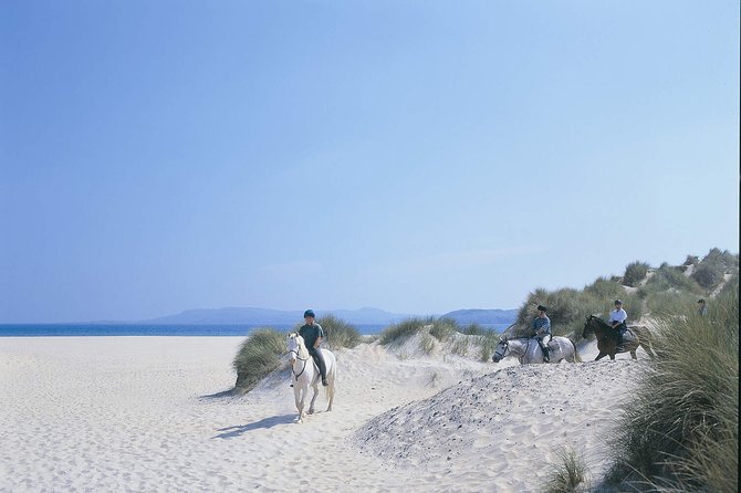 Beach & countryside horse riding outside Westport. Guided. 1 hour - The horses and the feel of the ride