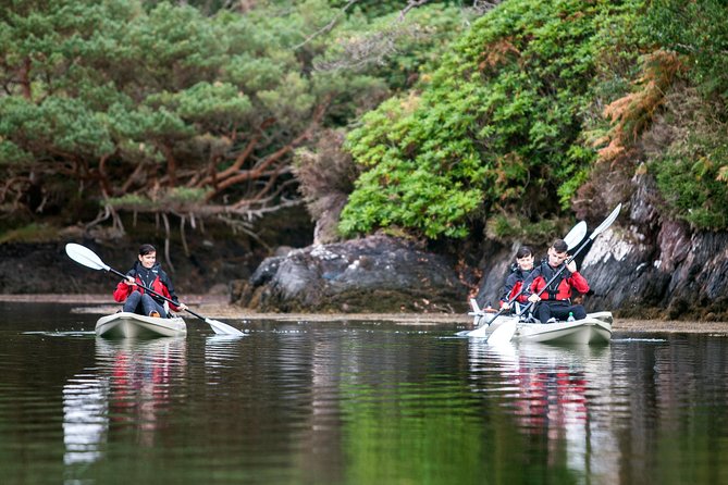 Beautiful Southwest Tour 2022 - Day 5: The Ring of Kerry by coach
