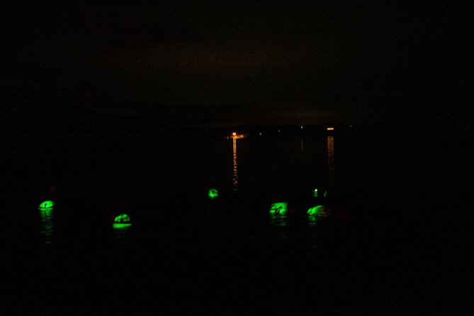 Bioluminescent Swim Experience in West Cork with Storytelling - Five things to know before you book