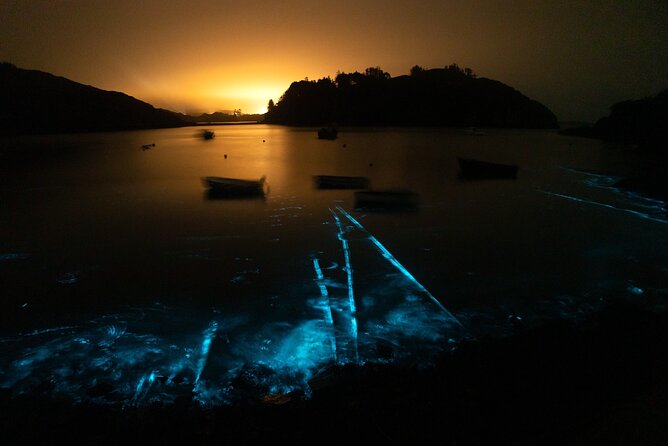 Bioluminescent Swim Experience in West Cork with Storytelling - What makes this West Cork night swim special