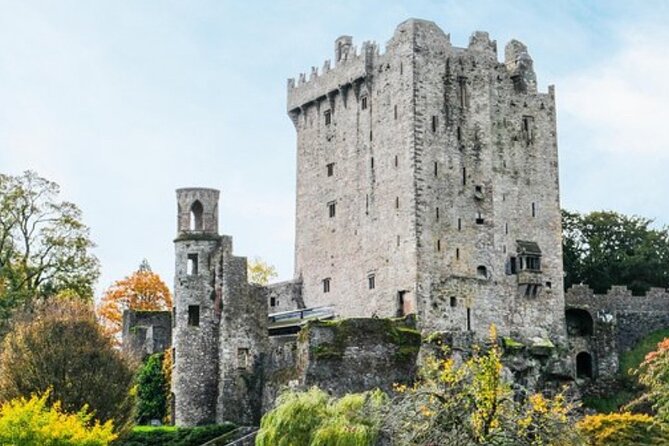 Blarney Castle and The Rock of Cashel with Private Chauffeur Tour - Blarney Castle and the gift of the gab