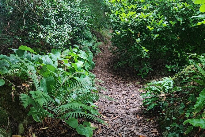 Blarney Castle Cork City and Jameson Distillery Small groups - Guides Can Shape the Whole Day