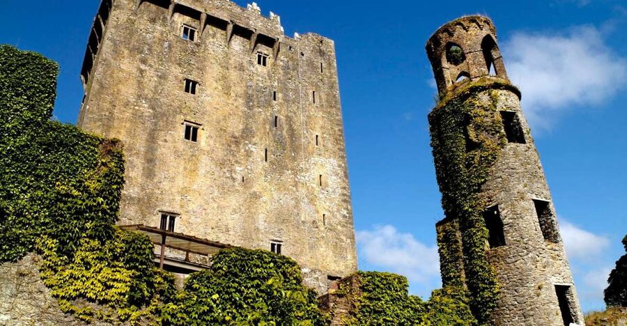 Blarney Castle Full-Day Tour from Dublin - Who should book this day trip