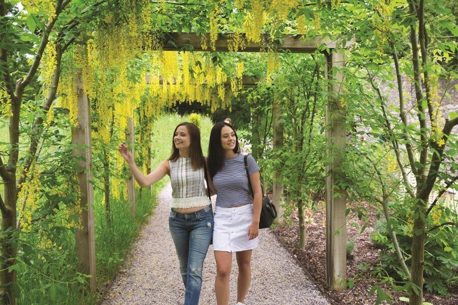 Blarney Castle Full-Day Tour from Dublin - The Rock of Cashel and its Celtic stones