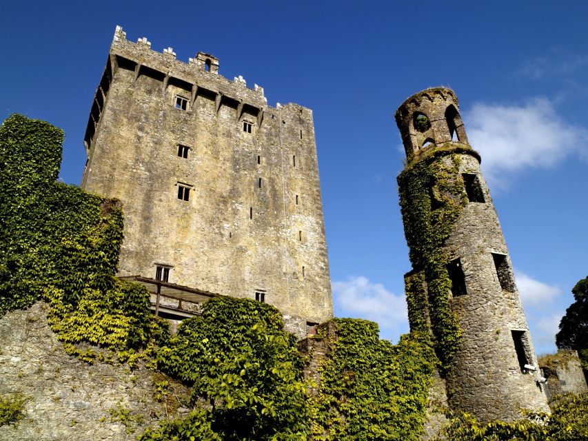 Blarney Castle Full-Day Tour from Dublin - What $90 includes and what it does not