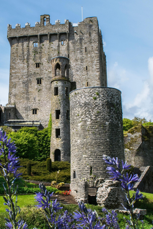 Blarney Castle: Private Guided Day Tour from Dublin - The road to Blarney takes time