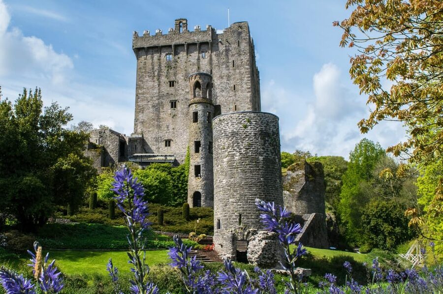 Blarney Castle: Private Guided Day Tour from Dublin - Timing, comfort, and the real cost