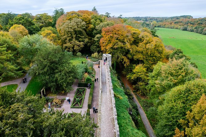 Blarney, Rock of Cashel & Cahir Castles Day Tour From Dublin - What the bus journey is really like