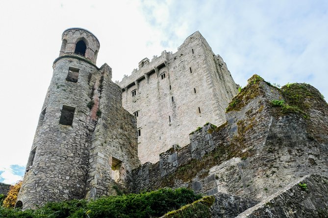 Blarney, Rock of Cashel & Cahir Castles Day Tour From Dublin - Who should book this castle tour?