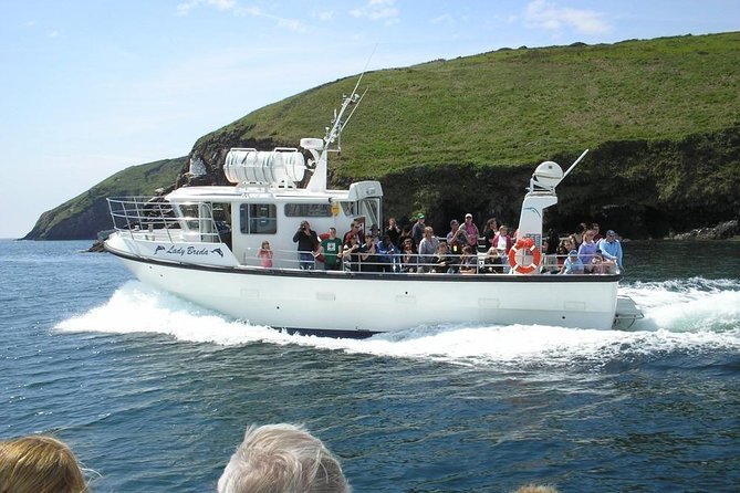 Blasket Island Eco Tour. - Key points to know before you go