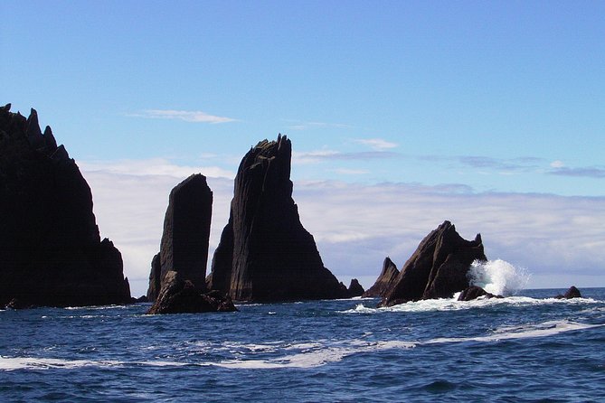 Blasket Island Eco Tour. - Is $90.11 a fair price?