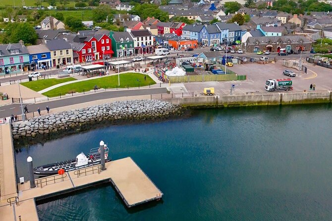 Blasket Island Sea Life Rib Tour, - Why this Dingle Bay boat trip is special