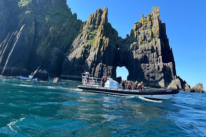 Blasket Island Sea Life Rib Tour, - Wildlife sightings: what you might see