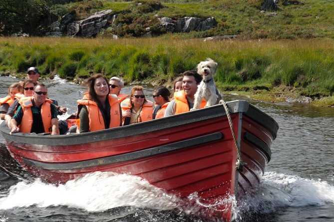 Boat Only Ticket (Walk the Gap of Dunloe) - Crossing the Lakes of Killarney by Boat
