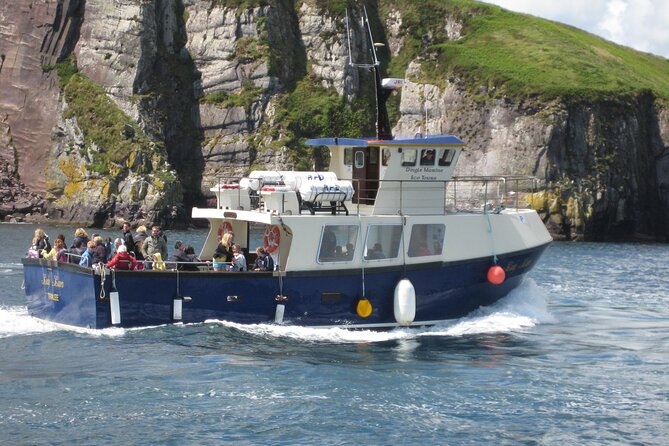 Boat Tour of Dingle Peninsula - Five useful things to know before boarding