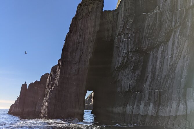 Boat Tour of Dingle Peninsula - Booking, cancellation, and practical details