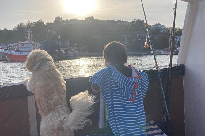 Boat Tour of Kinsale Harbour and Bandon River - Timing, weather, and the firm cancellation rule