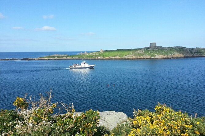 Boat Trip from Dublin City to Dun Laoghaire - Weather, schedule changes, and planning risks