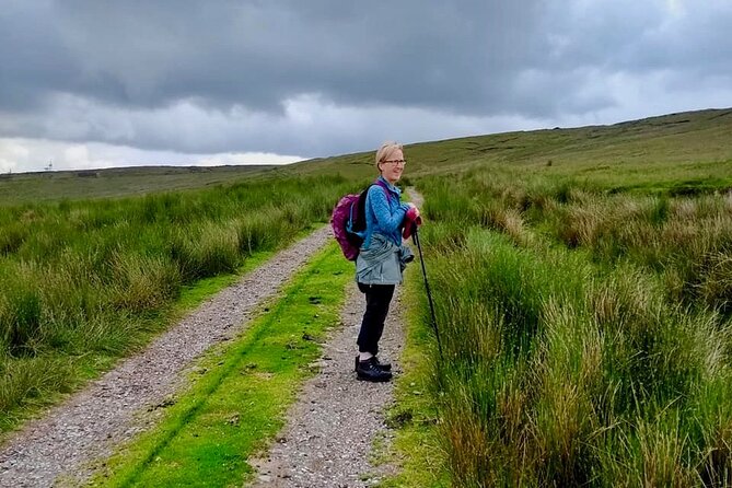Bog Safari Hike - Reading the bog as a place shaped by time
